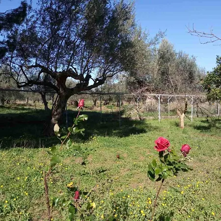 Manousi 1- Ground Floor