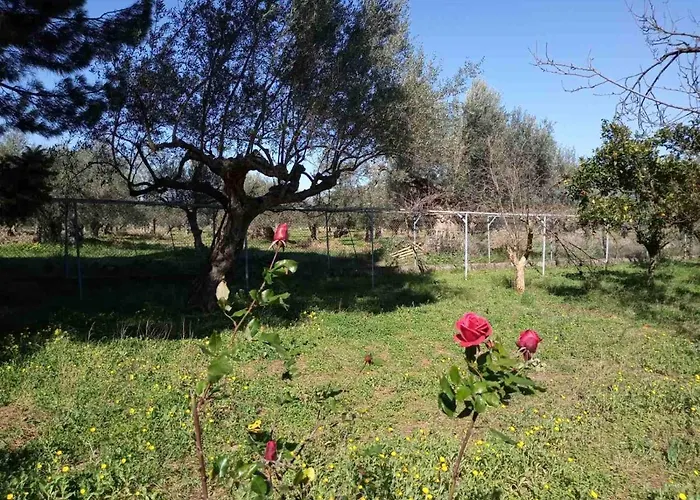 Manousi 1- Ground Floor